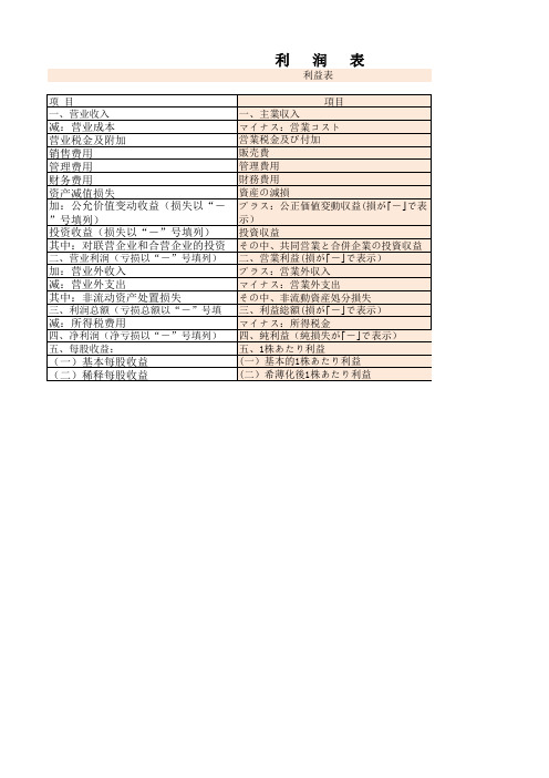 最新利润表中日文对照