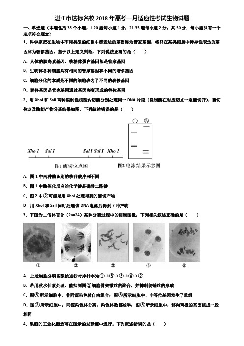 湛江市达标名校2018年高考一月适应性考试生物试题含解析