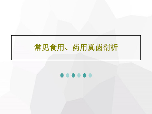 常见食用、药用真菌剖析PPT文档111页