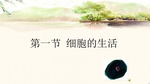 鲁教版五四制六年级生物上第二单元第二章第一节 细胞的生活教学课件