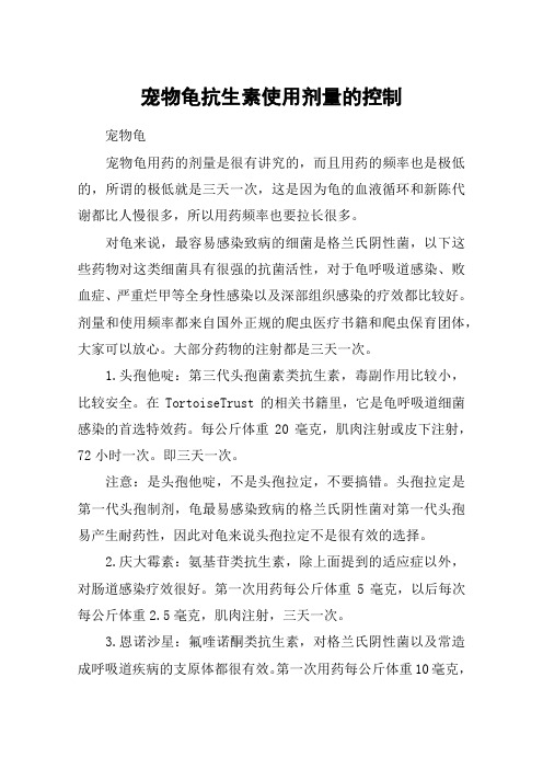 宠物龟抗生素使用剂量的控制