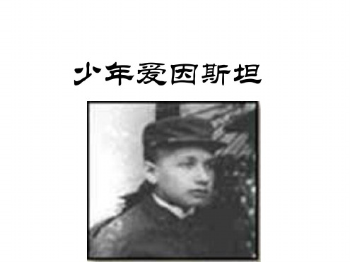 九年级语文少年爱因斯坦(20200806110021)