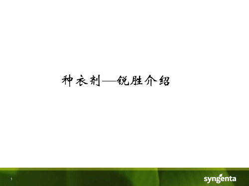 种衣剂—锐胜介绍