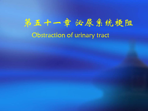 第五十一章  泌尿系统梗阻