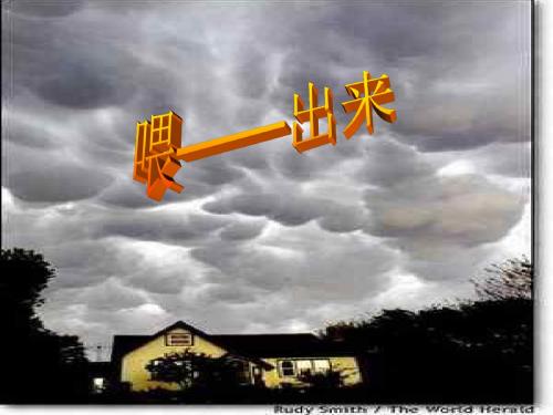 《喂——出来》