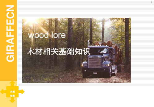木材的基本知识