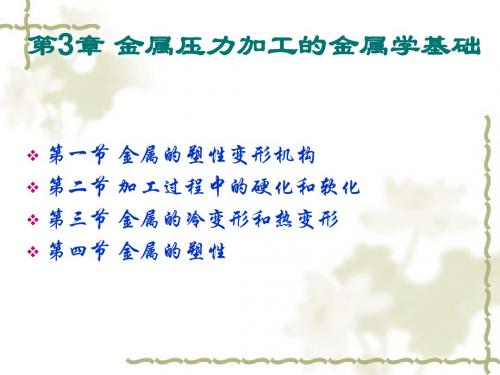 第三章 金属压力加工的金属学基础