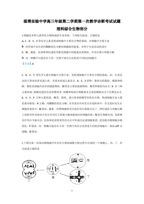 【解析】山东省淄博实验中学2019届高三下学期第一次(4月)教学诊断考试理科综合生物试卷 