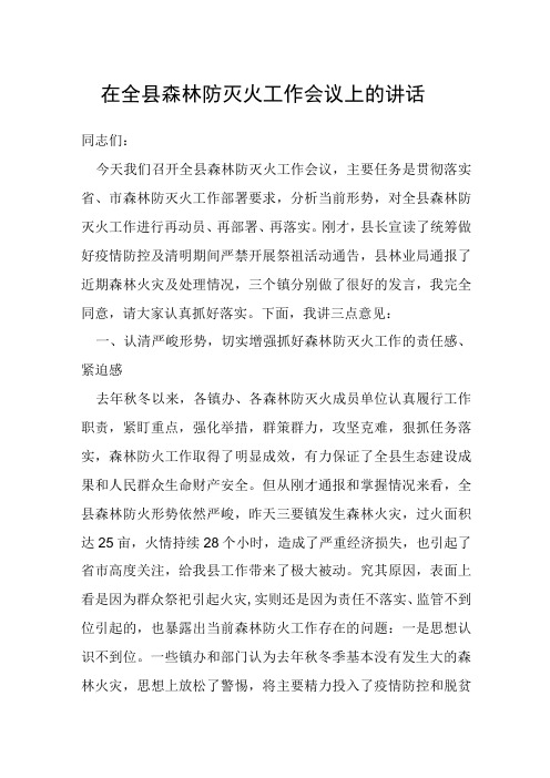 在全县森林防灭火工作会议上的讲话(1)