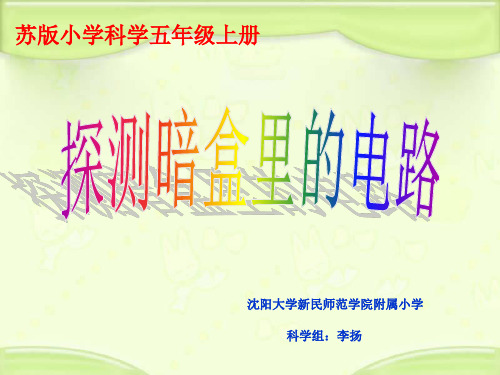 苏教小学科学五上《33.探测暗盒里的电路》PPT课件2
