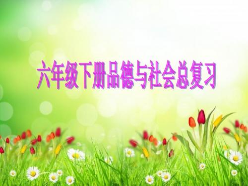 鄂教版六年级品德与社会下册总复习