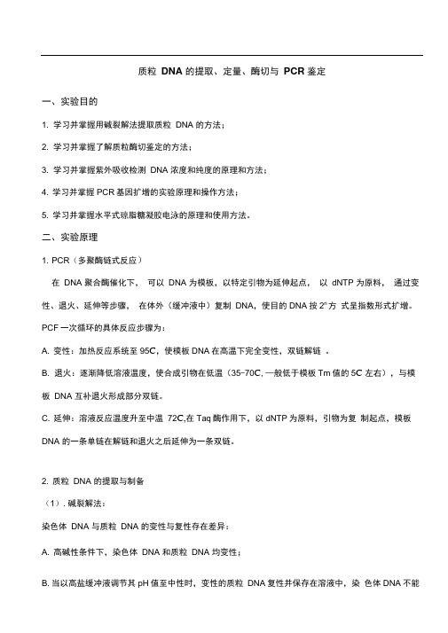质粒DNA的提取定量酶切与PCR鉴定实验报告
