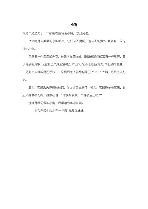 小学一年级看图写话：小狗