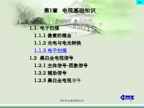 第1章电视基础知识