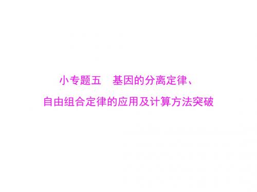 高三生物一轮复习：遗传因子的发现ppt