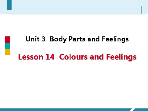 《Colours and Feelings》PPT优秀课件-冀教版七年级英语上册