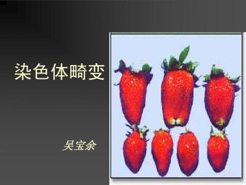 染色体变异