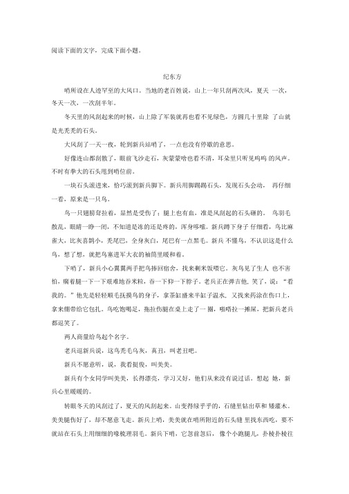 《美美》阅读练习及答案