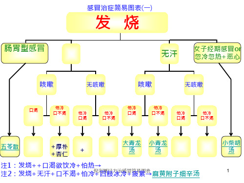 倪海厦经方治感冒简易图表 ppt课件