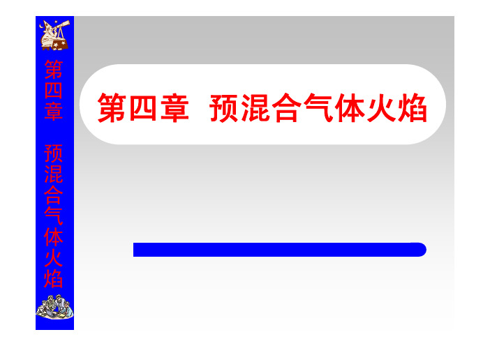 工程燃烧学_4