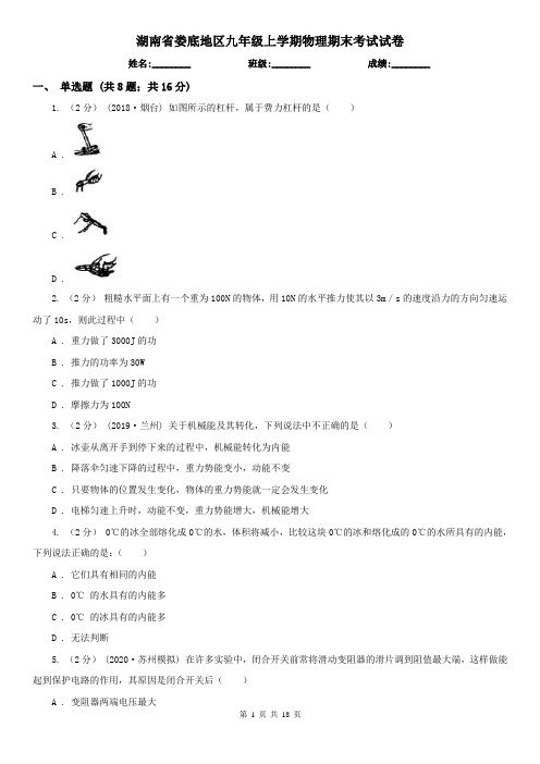湖南省娄底地区九年级上学期物理期末考试试卷