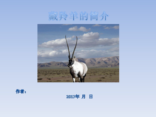 藏羚羊的简介