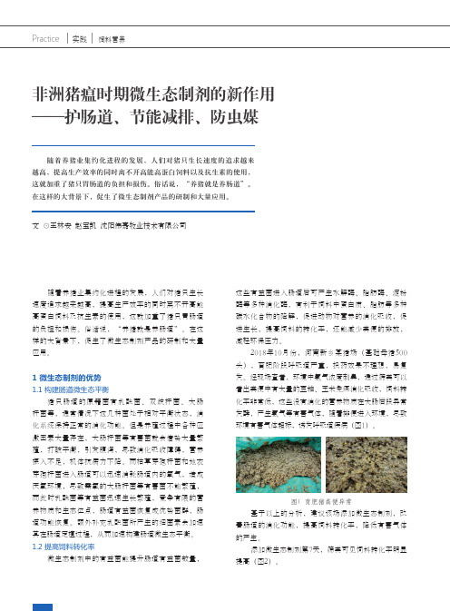 非洲猪瘟时期微生态制剂的新作用——护肠道、节能减排、防虫媒