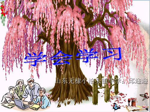 【初中政治】学会学习ppt优秀课件