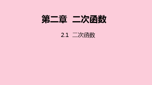 北师大版九年级数学下册课件：2.1 二次函数