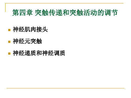 第4章 突触传递和突触活动的调节