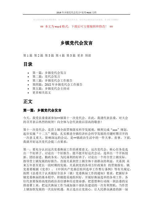 2019年乡镇党代会发言-实用word文档 (21页)