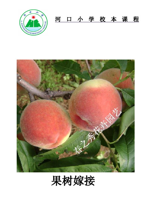 果树嫁接