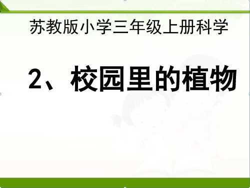 苏教版科学三年级上册课件：2.2校园里的植物 课件