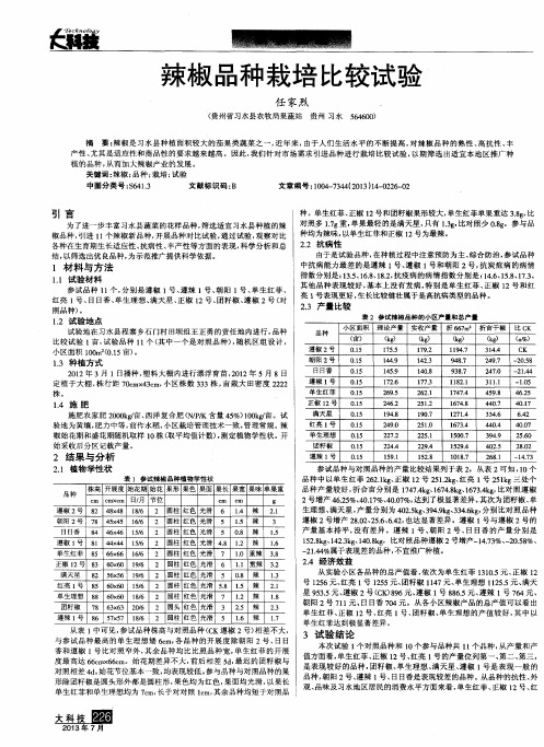 辣椒品种栽培比较试验