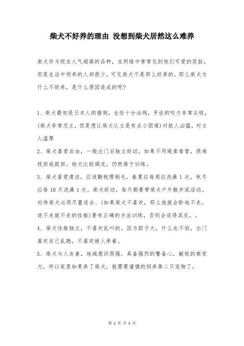 柴犬不好养的理由 没想到柴犬居然这么难养