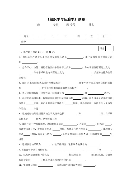 组织与胚胎学模拟卷