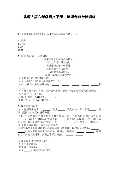北师大版六年级语文下册古诗词专项全能训练