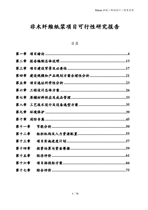 非木纤维纸浆项目可行性研究报告