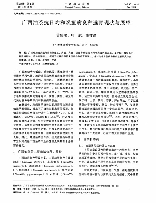 广西油茶抗日灼和炭疽病良种选育现状与展望