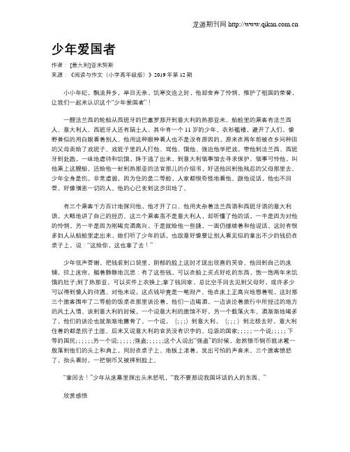 少年爱国者