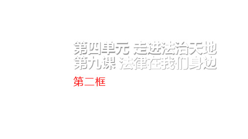2020部编版七年级道德与法治下册 第九课  法律在我们身边 第2课时 法律保障生活