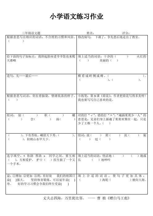小学三年级语文精作细练III (6)