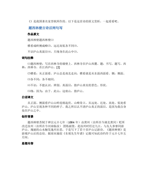 题西林壁古诗后两句写
