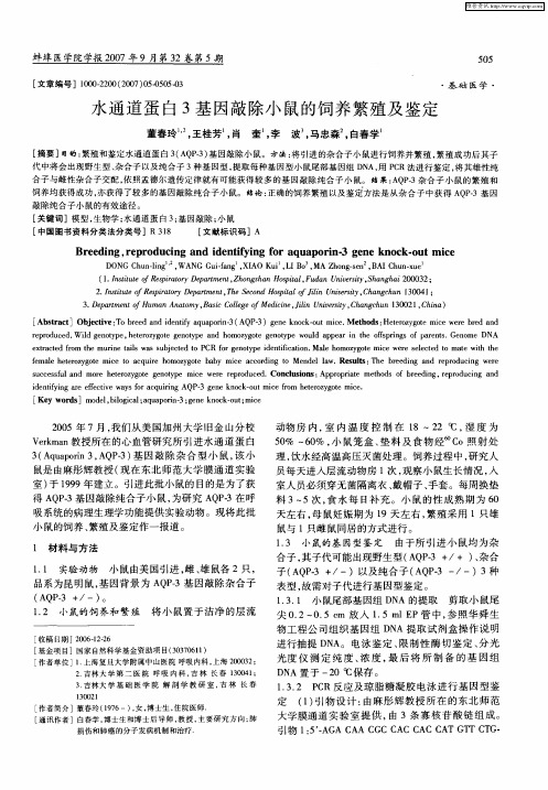 水通道蛋白3基因敲除小鼠的饲养繁殖及鉴定