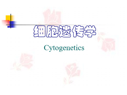 细胞遗传学6染色体数目变异课件
