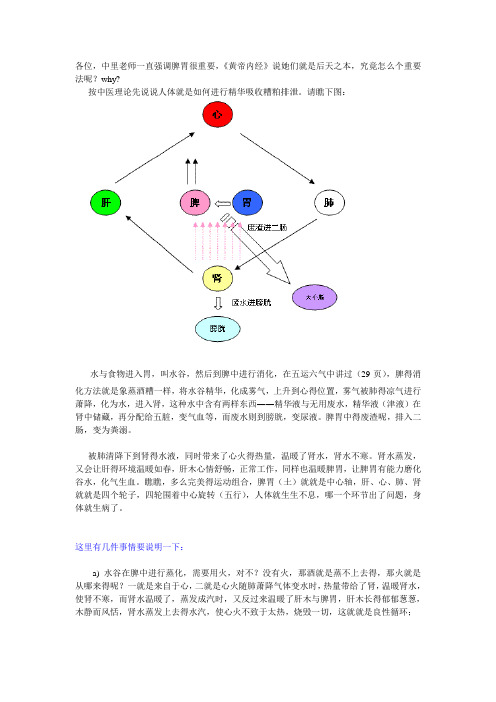 脾胃运行原理
