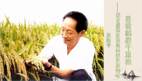 【新版本】4喜看稻菽千重浪课堂导学提纲+PPT统编版必修上册