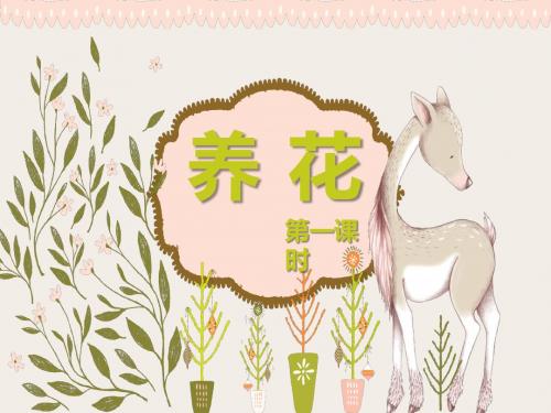 最新北师大版语文小学六年级下册养花 第1课时优质课课件.pptx