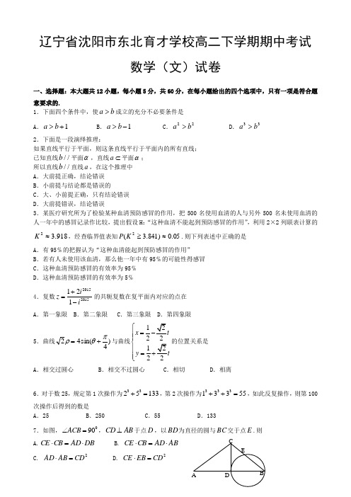 辽宁省沈阳市高二下学期期中考试文科数学试卷 有答案