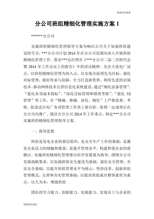 分公司班组精细化管理实施方案.doc